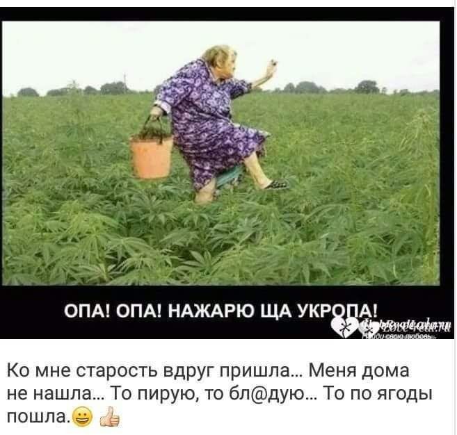 Ко мне старость вдруг пришла Меня дома не нашла То пирую то бпдую То по ягоды пошла в _а