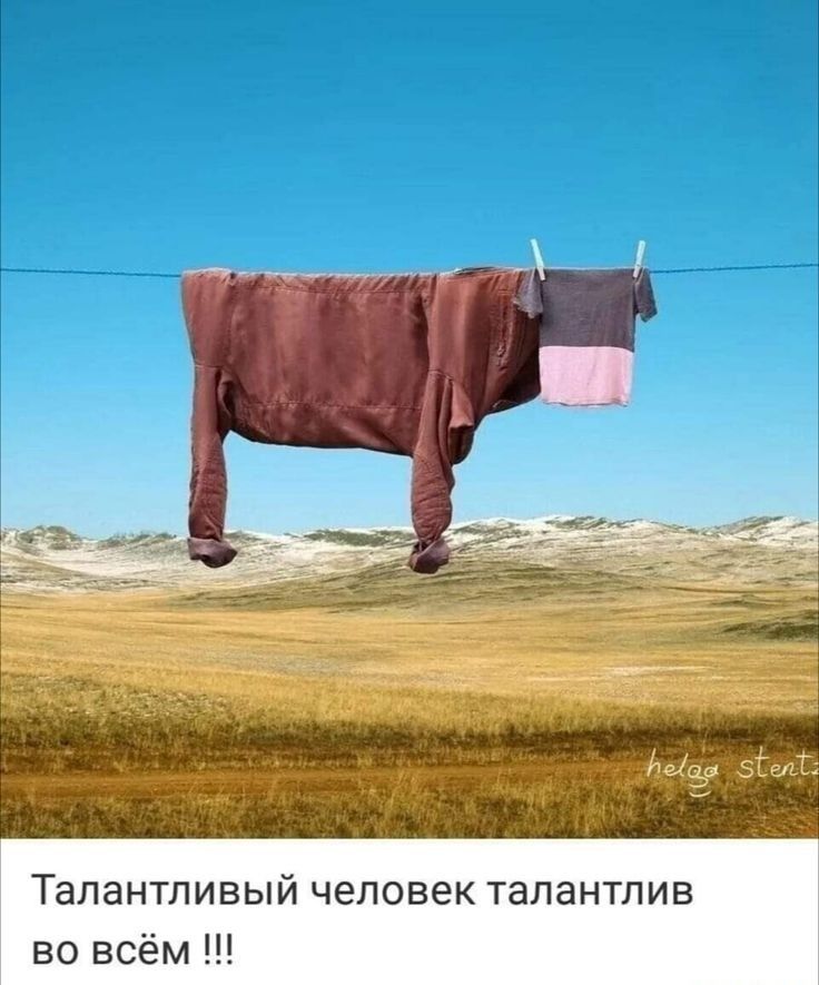 Талантливый человек талантлив во всём