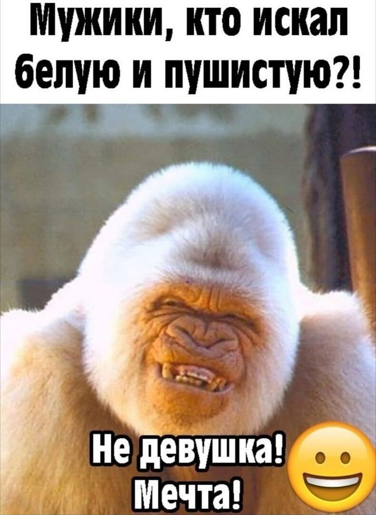 МУЖИКИ КТО искал белую И ПУШИСПЮ Не девушка Мечта