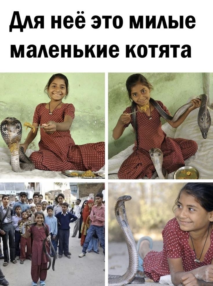 ддя неё это милые маленькие котята