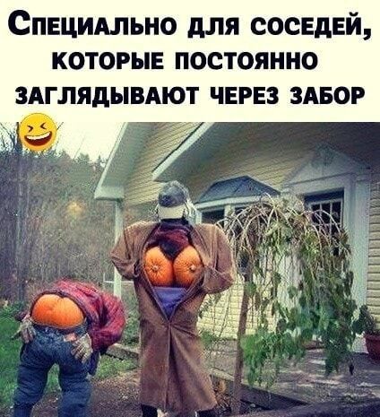 Специдльно для соседей которые постоянно здглядывдют через здвор