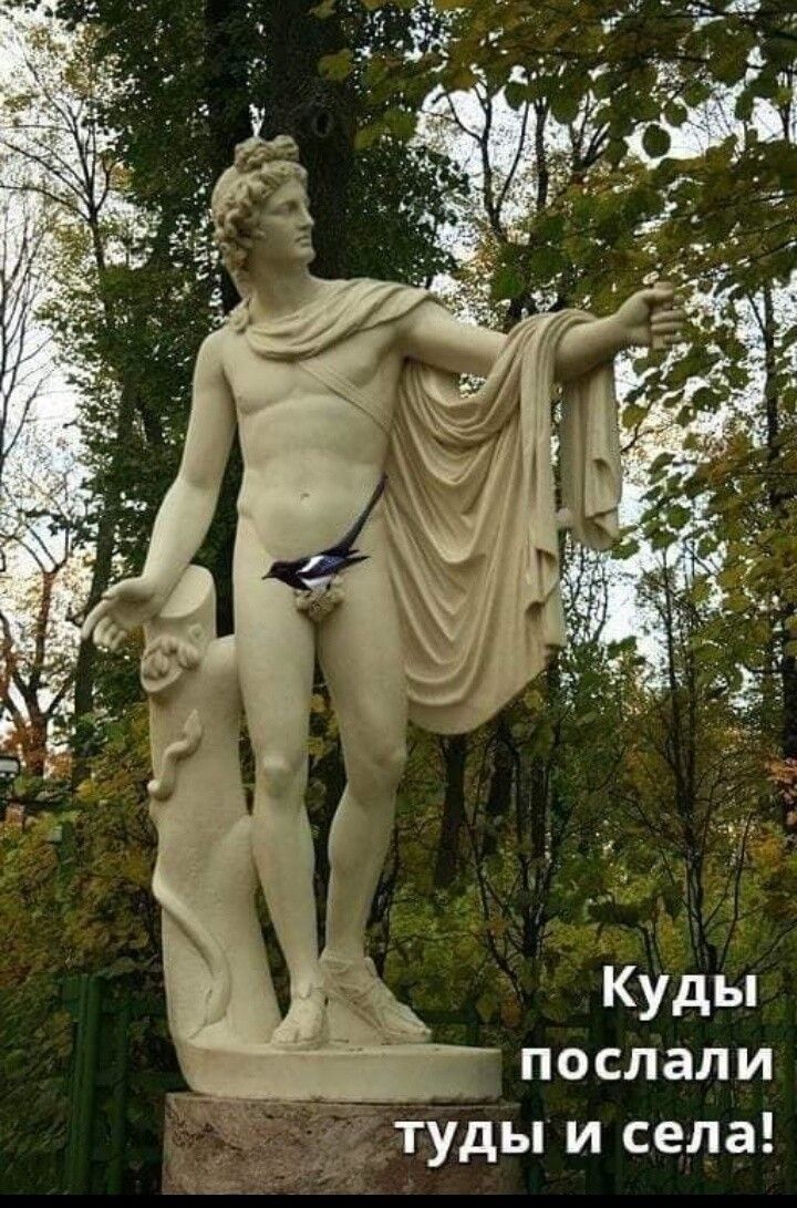 послали _туды и села