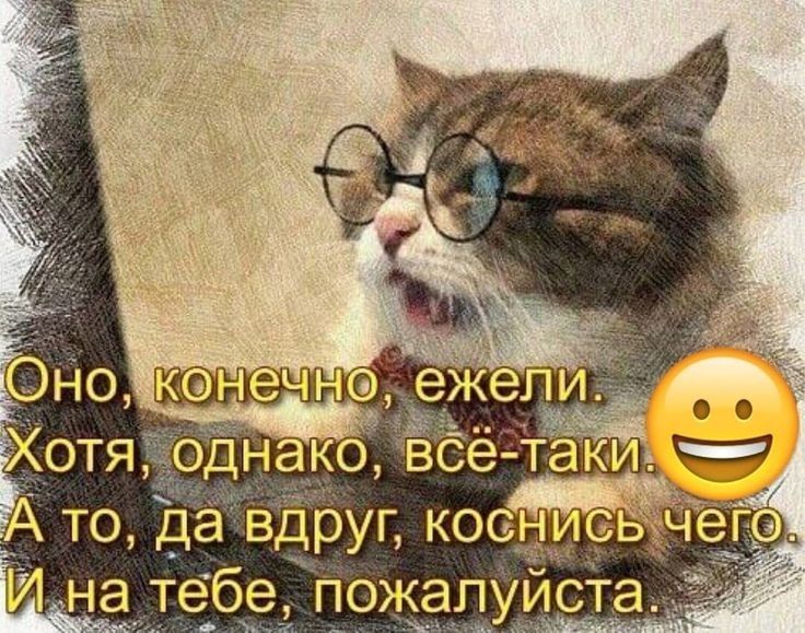 А тО йна тебе пожалуйст