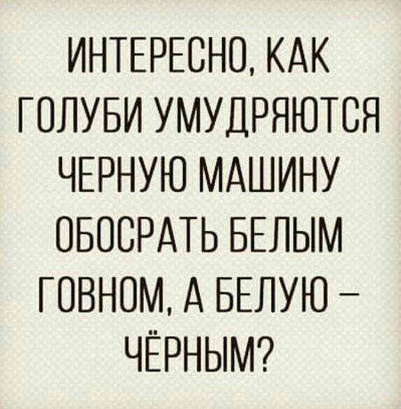 ИНТЕРЕСНО КАК ГОЛУБИ УМУДРЯЮТСЯ ЧЕРНУЮ МАШИНУ ОБОСРАТЬ БЕЛЫМ ГОВНОМ А БЕЛУЮ ЧЁРНЫМ