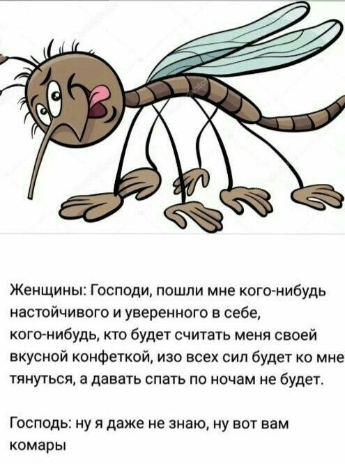 Женщины Господи пошли мне когонибудь настойчивого и уверенного в себе кого нибудь кто будет считать меня своей вкусной конфеткай изо всех сил будет ко мне тянуться а давать спать по ночам не будет Господь ну я даже не знаю ну вот вам комары