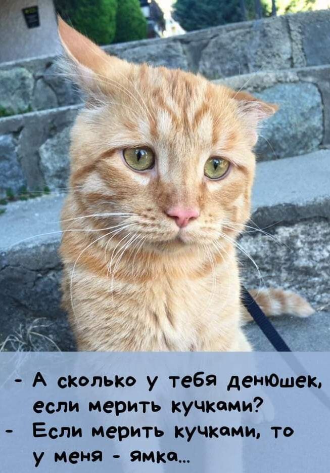 А сколько у тебя денношек если мерить кучками Если мерить кучками то у меня ямки
