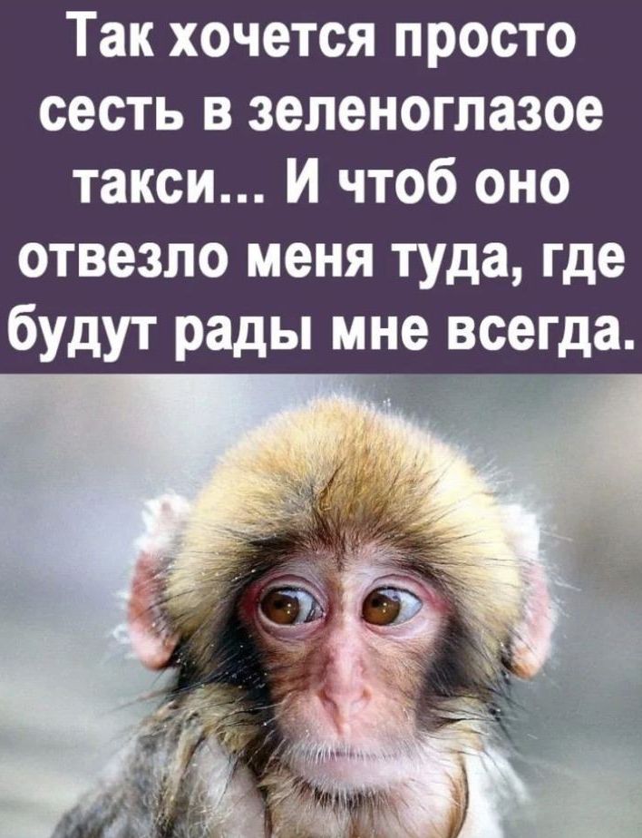Так хочется просто сесть в зеленоглазое такси И чтоб оно отвезпо меня туда где будут рады мне всегда