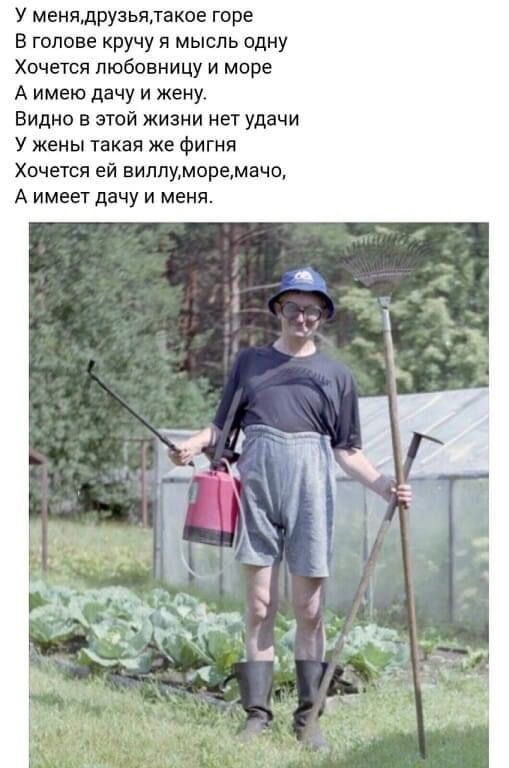 У менядрузьялакое горе В голове кручу я мысль одну Хочется любовницу и море А имею дачу и жену Видно этой жизни нет удачи У жены такая же фигня Хочется ей вилпиморемачо А имеет дачу и меня