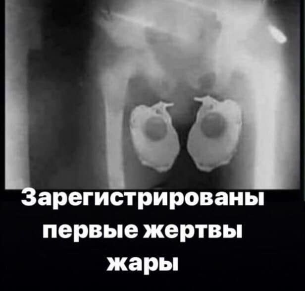 арегистрированы первые жертвы жары