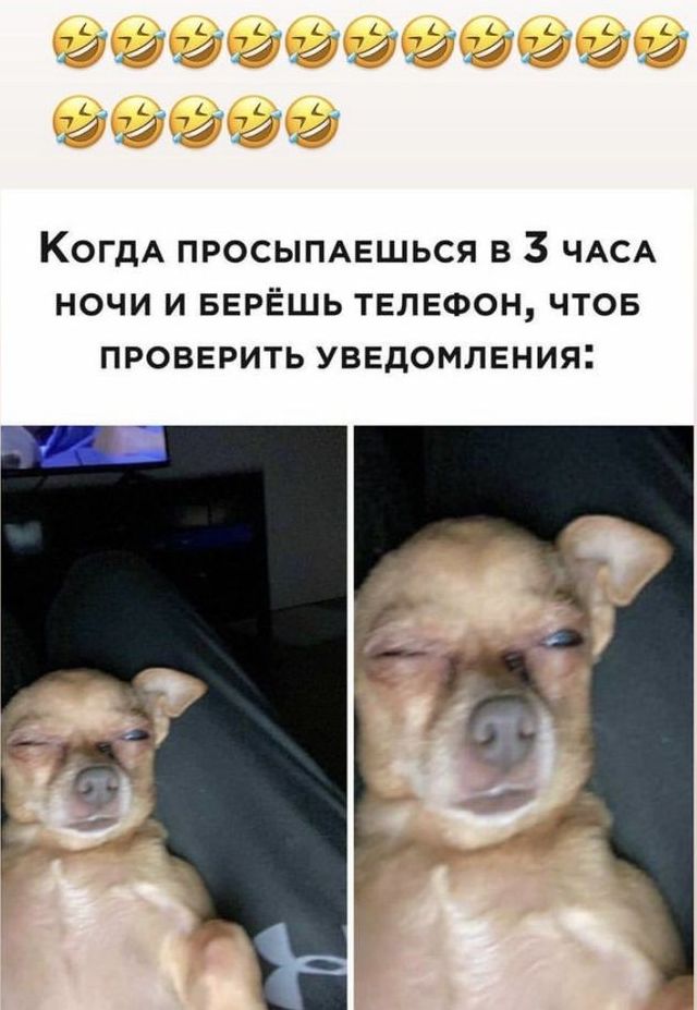 КогдА просыпишься в 3 ЧАСА ночи и верЁшь телвфон чтов проверить уввдомления