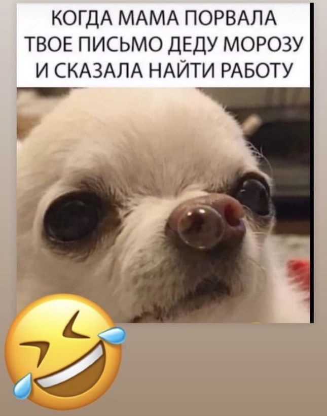 КОГДА МАМА ПОРВАЛА ТВОЕ ПИСЬМО ДЕДУ МОРОЗУ И СКАЗАЛА НАЙТИ РАБОТУ