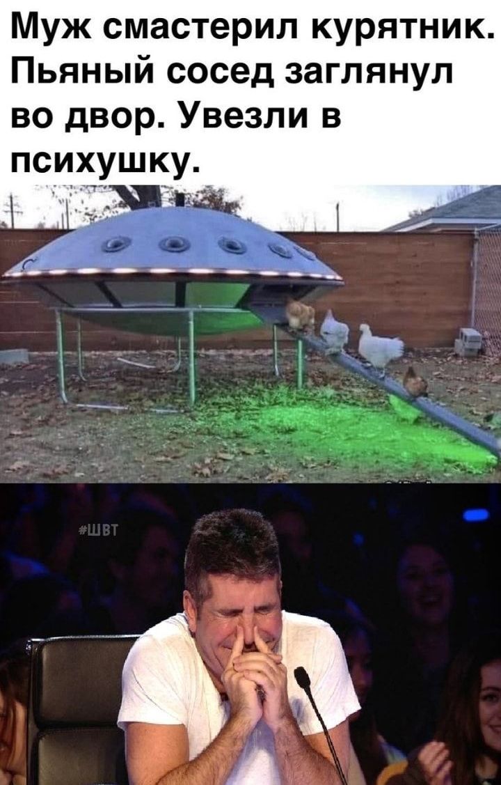 Муж смастерил курятник Пьяный сосед заглянул во двор Увезли в психушку