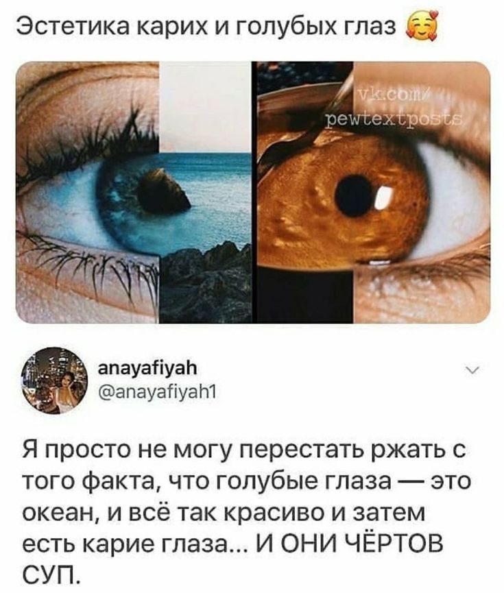 Эстетика карих и голубых глаз 55 апауаііуап апауасіуат Я просто не могу перестать ржать с того факта что голубые глаза это океан и всё так красиво и затем есть карие глаза И ОНИ ЧЁРТОВ СУП