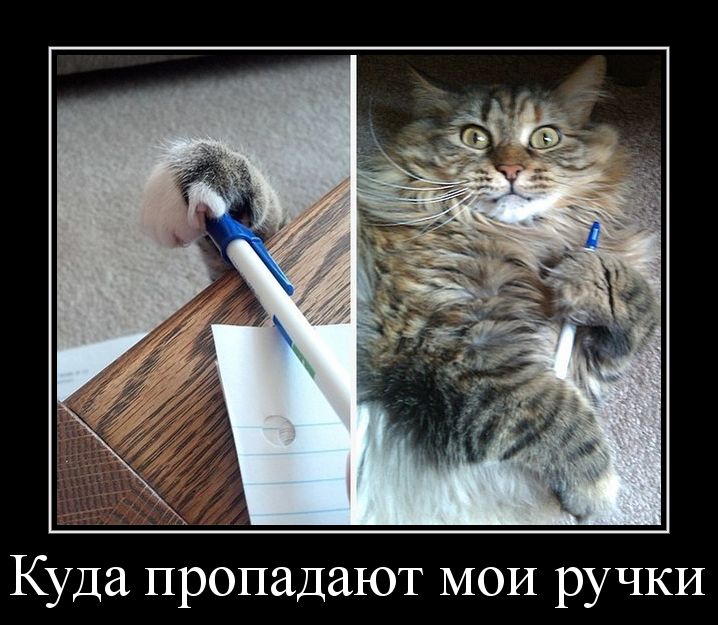 Куда пропадают МОИ ручки