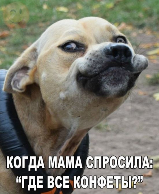 ГДЕ ВСЕ КФНФЕ