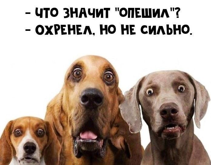 ЧТО ЗНАЧИТ ОПЕШИА ОХРЕНЕА НО НЕ СИАЬНО