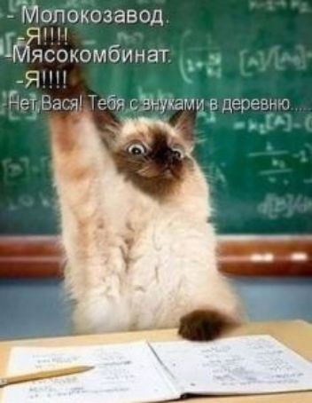 ТШопбкозавод _ Мяясокомбинат 3 _ Я деіёдеч т в ДС ПРСЪ 4 и