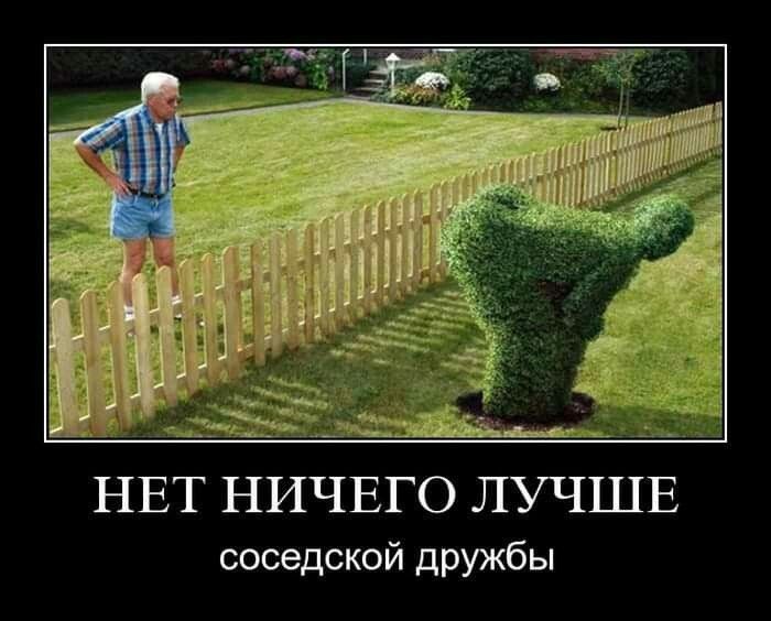 НЕТ НИЧЕГО ЛУЧШЕ соседской дружбы