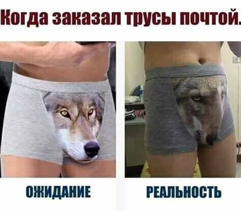 Мда заказал ТПУВЫ ППЧЮЙ ПШИДШИЕ РЩШМПЪ