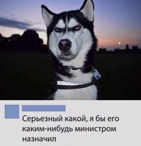 Серьезный какой я бы его каким нибудь министром назначил