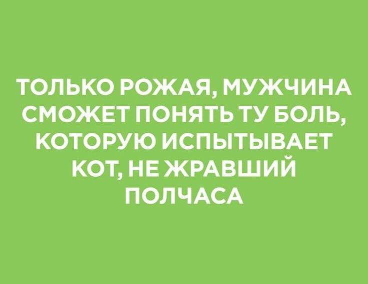 только рождя МУЖЧИНА сможет понять ту БОЛЬ которую испытывмгт кот не живший ПОЛЧАСА