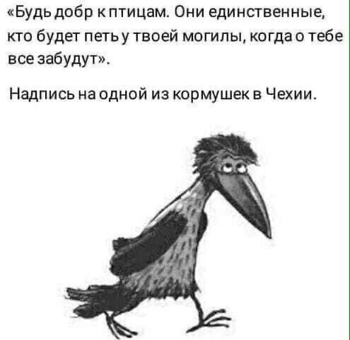 Будь добр к птицам Они единственные кто будет петь у твоей могилы когда о тебе все забудут Надпись на одной из кормушек в Чехии