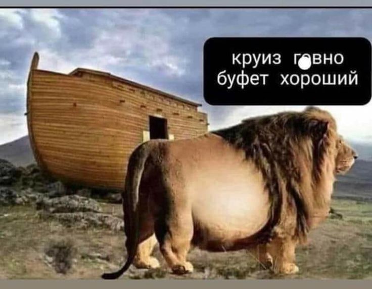 круиз говно буфет хороший