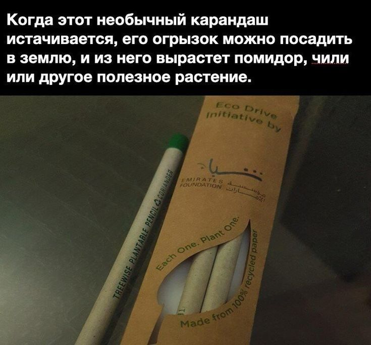 Когда этот необычный карандаш истачивается его огрызок можно посадить в землю и из него вырастет помидор чипи или другое полезное растение