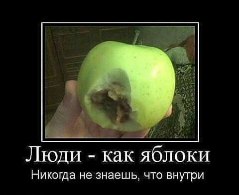 Люди как яблоки Никогда не знаешь то внутри