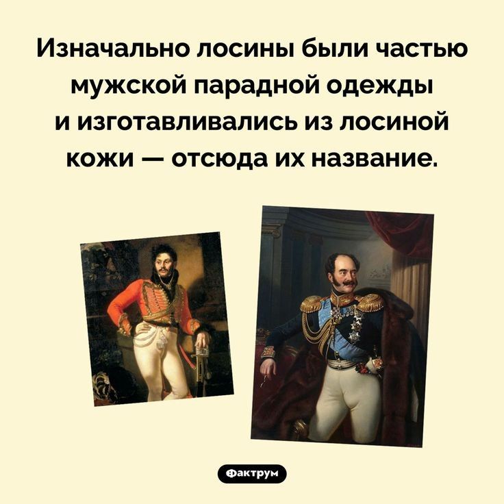 Изначально лосины были частью мужской парадной одежды и изготавливались из посиной кожи отсюда их название