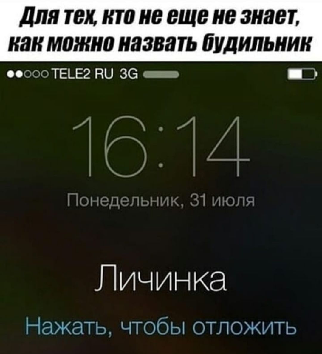 для ТВ КТП ИВ еще В 311887 КШ МПЖИП 8388 УЛИЦЫ ТЕЬЕг Р 36 _ Личинка Нажать чтобы отложить