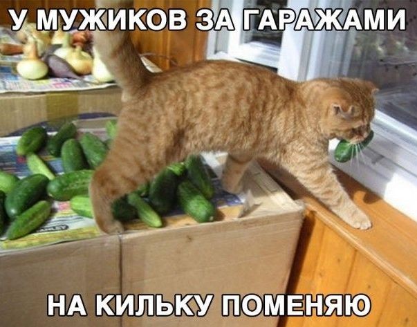 У иМі ИКОВ ЗіАііГАРіАііЖйАМИ ди НА КИЛЬКУ ПОЁМЕНЯЮ