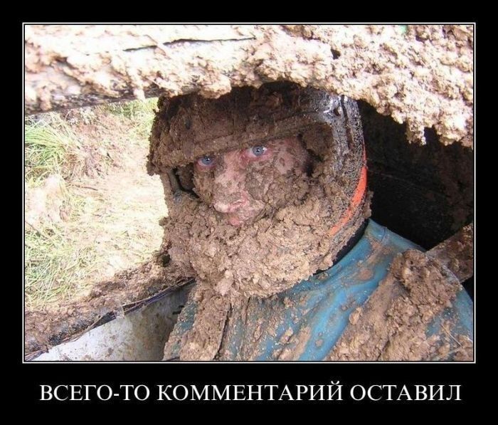 ВСЕГО ТО КОММЕНТАРИ ТАВНЛ