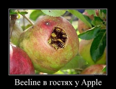 Вееііпе в гостях у Арр1е