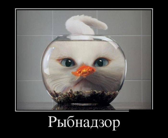 Рйбнадзор