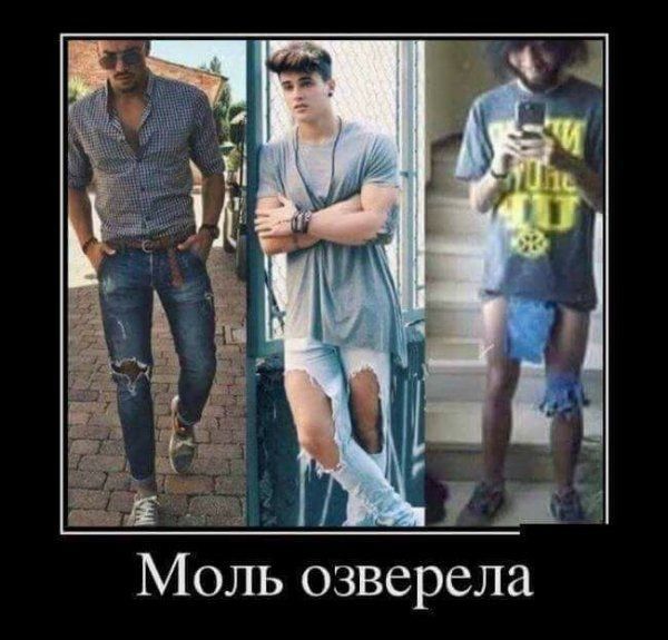 1 Ц Моль озверела