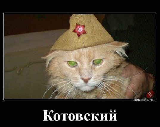 Котовский