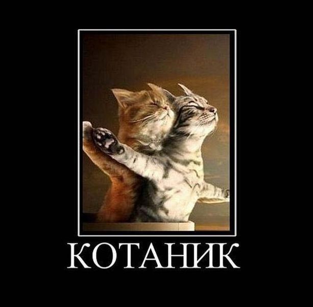 КОТАНИК