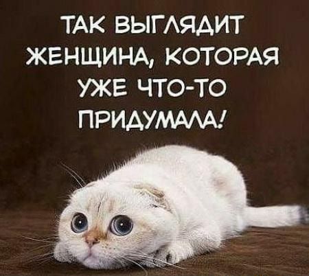 ТАК ВЫГАЯАИТ ЖЕНЩИНА КОТОРАЯ УЖЕ ЧТО ТО ПРИАУМААА