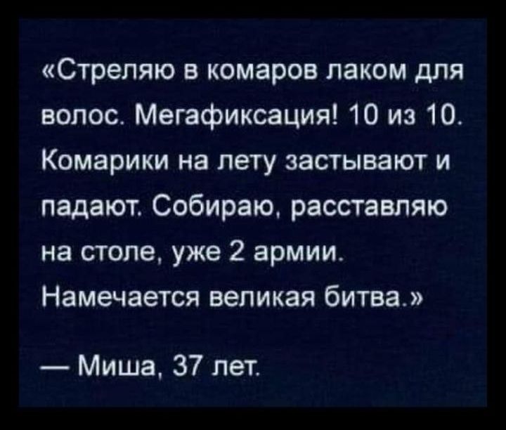 Стрепяю в комаров лаком для волос Мегафиксация 10 из 10 Комарики на лету застывают и падают Собираю расставпяю на столе уже 2 армии Намечается великая битва Миша 37 лет