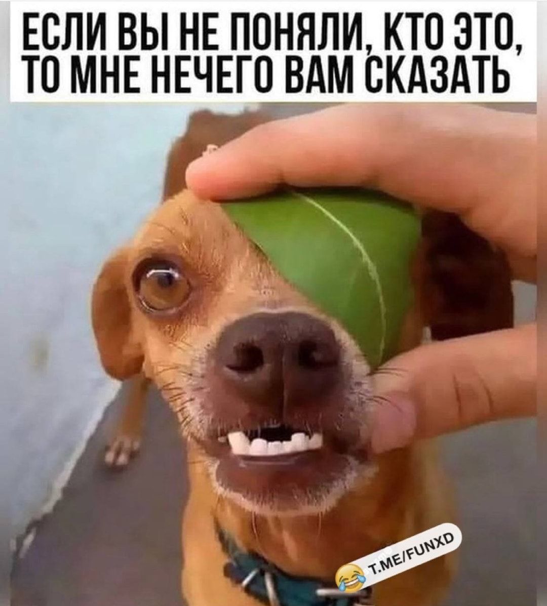 ЕСЛИ ВЫ НЕ ПОНЯЛИ КТО ЭТО ТО МНЕ НЕЧЕГО ЕАМ СКАЗАТЬ