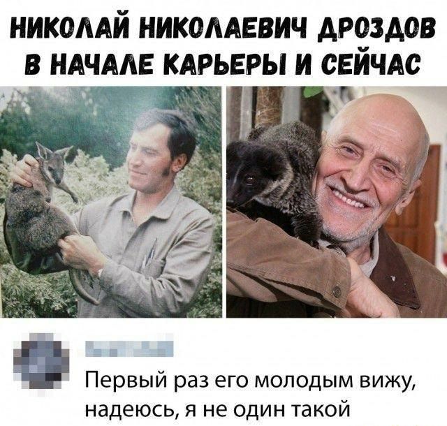 НИКОЛАЙ НИКОЛАЕВИЧ АРЁЗАОВ В НАЧАЛЕ КАРЬЕРЫ И СЕИЧАС Первый раз его молодым вижу надеюсь я не один такой
