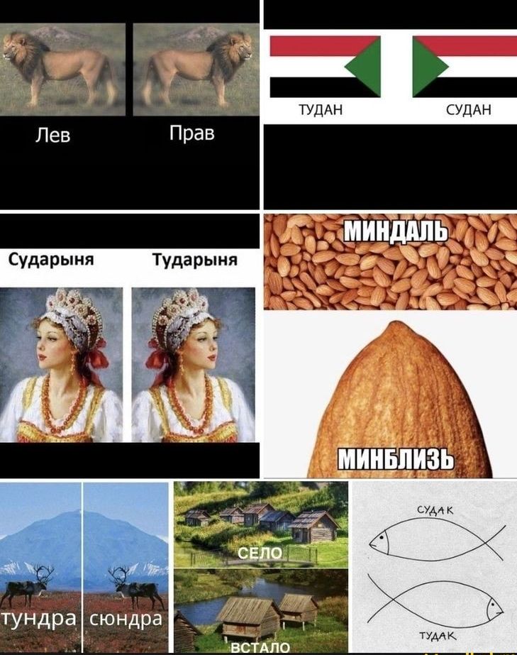 сударыня