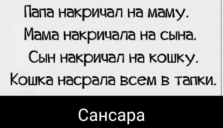 Папа накрицап на маму Мама накрицапа на сына Сын накрицап на кошку Кошка насрапа всем в тапки