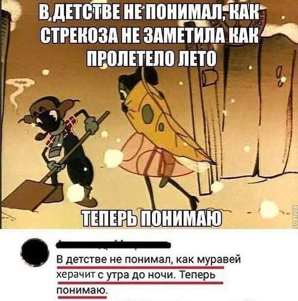 В дЕТВТВЕ ИЕ ППНИШШГИПИ ВТРШВЗП ПЕ ЗАМЕТИПА ШШ ПВЩТЕТЕШ ПЕТП в детстве не понимал как муравей херачит утра до ночи Теперь понимаю