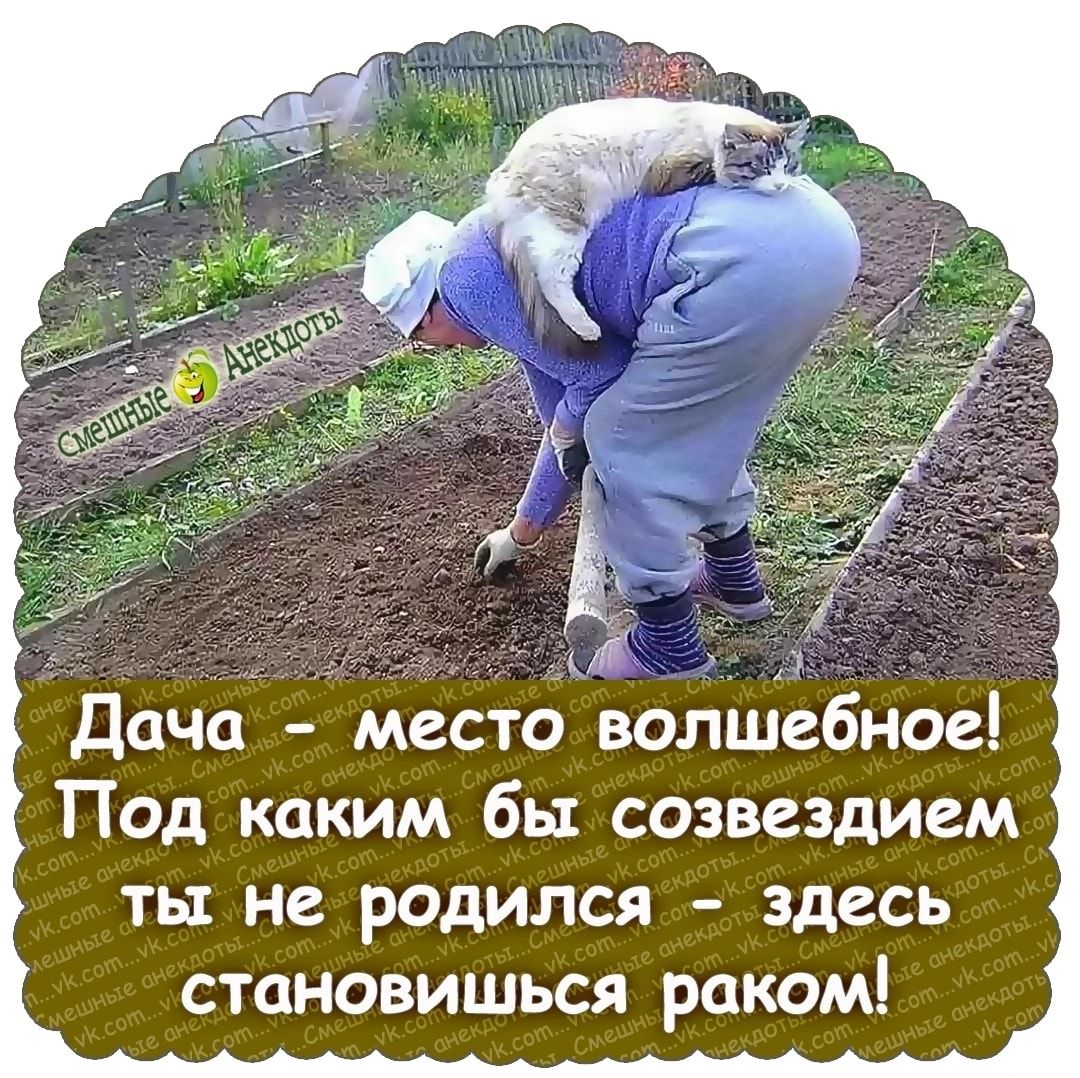 1 и Дача место волшебное Под каким бы созвездием ты не родился здесь становишься раком