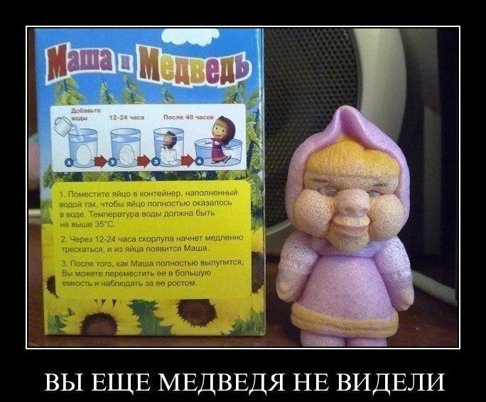 а _ ВЫ ЕЩЕ МЕДВЕДЯ НЕ ВИДЕЛИ