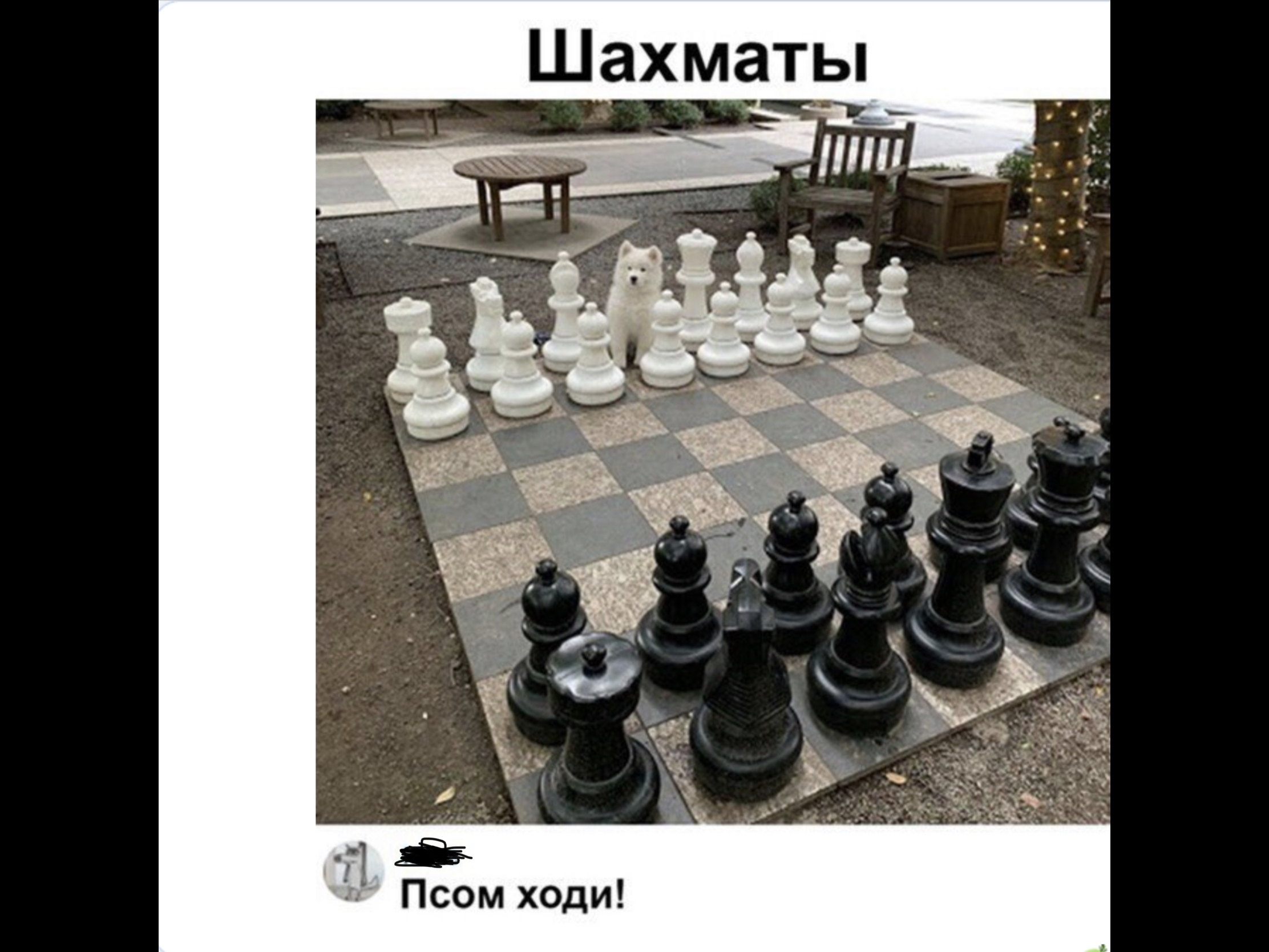 ы Т а м Х 3 Ш Псом ходи