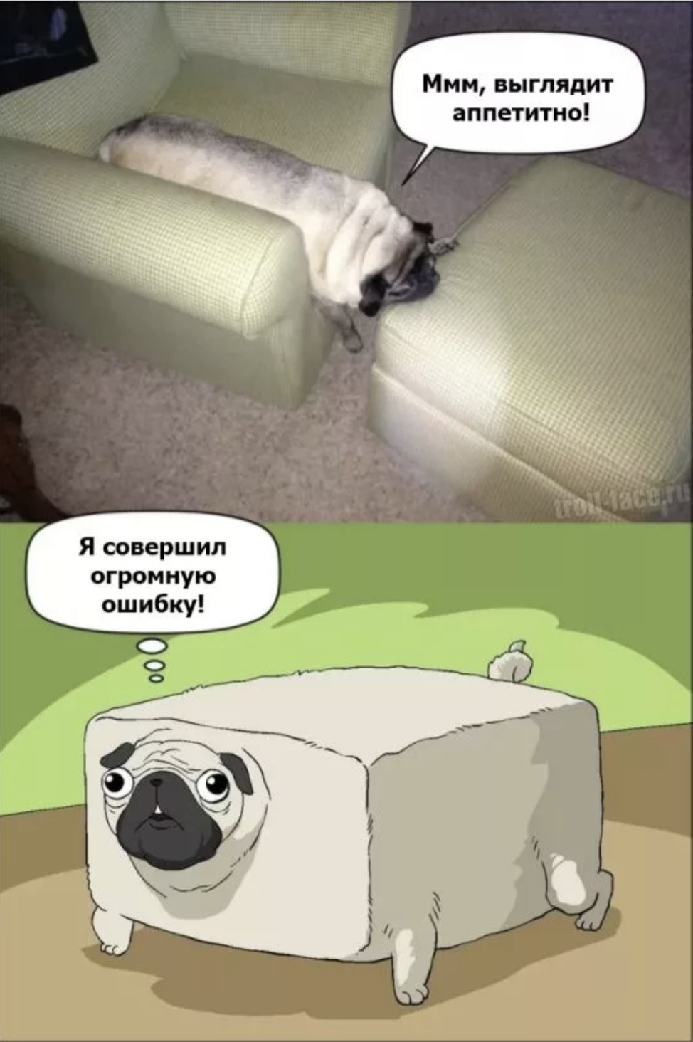 Ммм выглядит аппетитно Я совершил огромную
