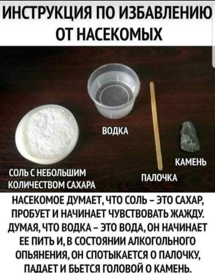 ИНСТРУКЦИЯ ПО ИЗБАВЛЕНИЮ ОТ НАСЕКОМЫХ КАМЕНЬ СОЛЬ С НЕБОЛЬШИМ ПАЛОЧКА КОЛИЧЕСТВОМ САХАРА НАСЕКОМОЕ дУМАЕТ ЧТО СОЛЬ ЭТО САХАР ПРОБУЕТ И НАЧИНАЕТ ЧУВСТВОВАТЬ ЖАЖДУ дУМАЯ ЧТО ВОДКА ЭТО ВОДА ОН НАЧИНАЕТ ЕЕ ПИТЬ И В СОСТОЯНИИ АЛКОГОЛЬНОГО ОПЬЯНЕНИЯОН СПОТЫКАЕТСЯ О ПАЛОЧКУ ПАЦАЕТ И БЬЕТСЯ ГОЛОВОЙ 0 КАМЕНЬ